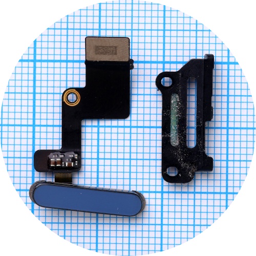 Шлейф Apple iPad 2022 (iPad 10 10.9") з кнопкою включення та сканером відбитка пальця (синій оригінал 100%)