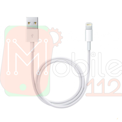 Зарядное устройство для iPhone 5W USB-Lightning  в коробке (белое) фото 2