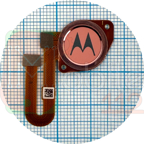 Шлейф Motorola Moto G9 Play XT2083-3 зі сканером відбитка пальця (рожевий)